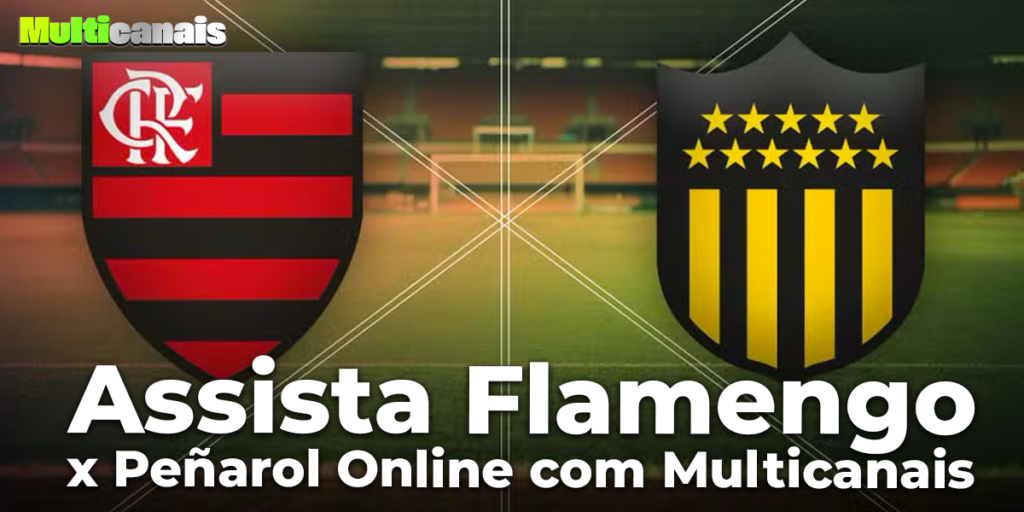 Assista Flamengo x Peñarol Online com Multicanais